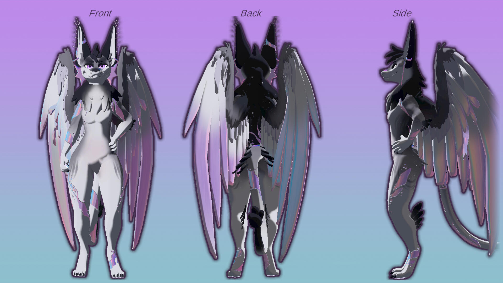 description of image